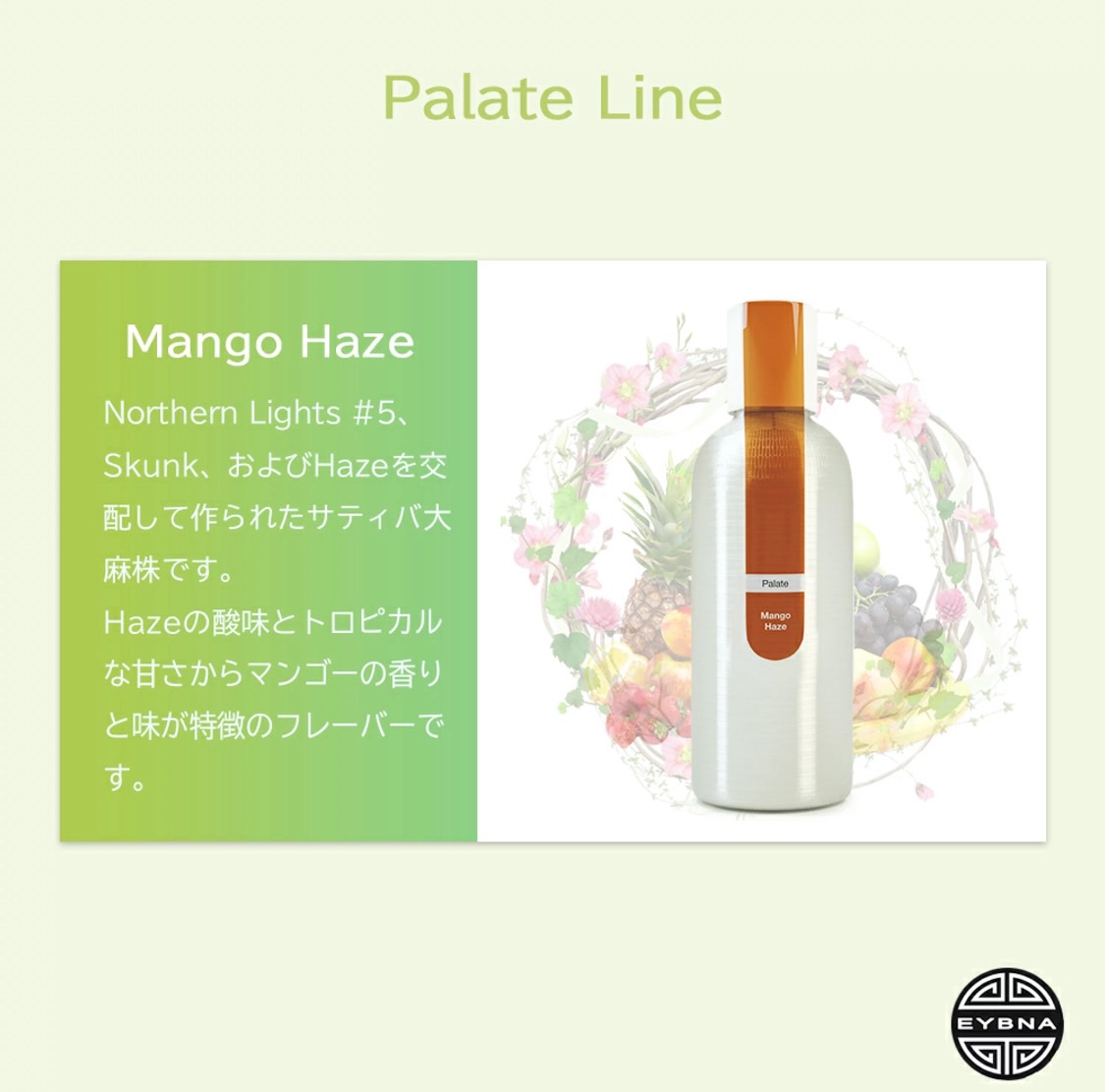 テルペン イスラエル EYBNA「Mango Haze」 | 【公式】HIGH LIFE
